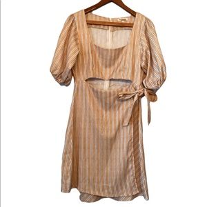 Pink Ripple Camel Striped Zip Back Dress